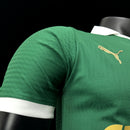 Camisa Palmeiras I 24/25 - Verde - Puma - Masculino Jogador